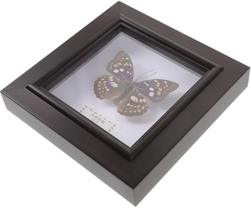 GLEAVI Cadre d’Exposition pour Spécimens d’Insectes Réalistes Cadre Mural Décoratif en Bois Plastique et Acrylique Support Transparent pour Bureau et Mur Décoration Vintage pour