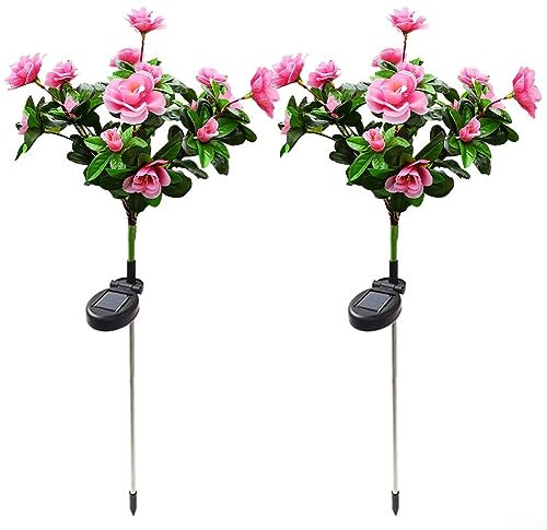 DAZZLEEX 2 luces solares de rododendro LED con estaca de flores, para exteriores, patio, impermeable, 2 V/150 MA, panel grande mejorado, color rosa