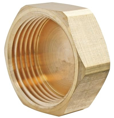SOMATHERM FOR YOU, Bouchon laiton brut femelle 20/27 - Sachet de 2 pièces pour raccordements plomberie - Compatible avec tous raccords laiton à filetage - Étanchéité avec joint plat