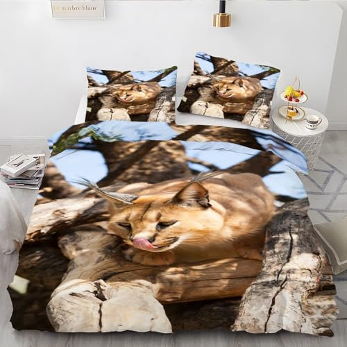 YZQGLHP Bettbezüge 135x200 Karakal, Bettwaesche Tier, Bettbezug Mikrofaser 3teilig, Bettwäsche Weich Atmungsaktiv und 2 Kissenbezüge 80x80 cm, mit Reißverschluss