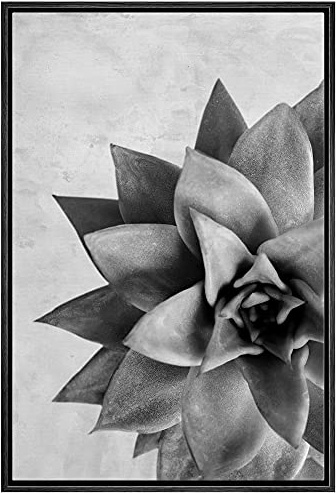 Woodrose Framed Canvas Print Wall Art Grayscale Lipstick Echeveria Succulent Floral Plants Photography Realism Southwest CloseUp Black and White for Living Room, Bedroom, Office - 24x36 BLACK