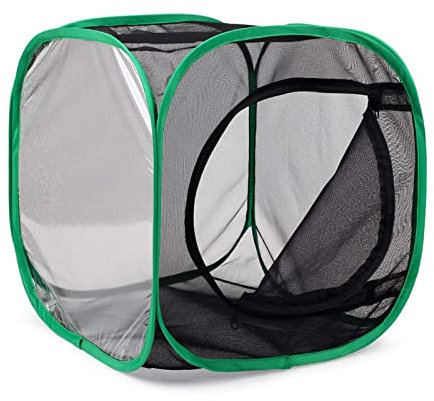 QIODAZOO Insekt und Schmetterling Lebensraum Käfig, Tragbare Schmetterlingshäuser Netzkäfig Terrarium Transparent Belüftung, 30 * 30 * 30cm