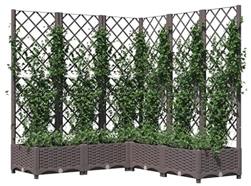 Fioriera da giardino, marrone, 120 x 120 x 121,5 cm, in polipropilene resistente, con traliccio, per piante rampicanti, decorazione per esterni, ideale per giardino e patio