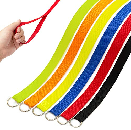 Slip Lead Dog Leash, 6 pcs Short Pet Leashes Slip Leads for Dogs Cats Grooming Shelter Rescues Walking Training,etc., 6 FT Strong Pulling Dog Leash with O-Ring
