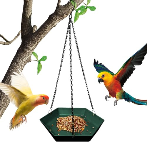 Aves al Aire Libre Suspendable - para pájaros Suspendable - Decoración Jardín Balcón Terraza Patio Observatorio