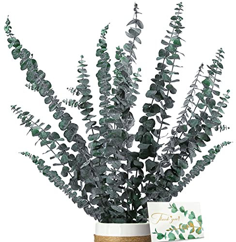 ZJTAPE Eukalyptus Getrocknet - Natürliche Trockenblumen, 16 Stück Enthält Grußkarten, Eukalyptus echt ewig Haltbare Trockenblumen Dekoration für die perfekte Hochzeit、Blumen Arrangements Heim Decor