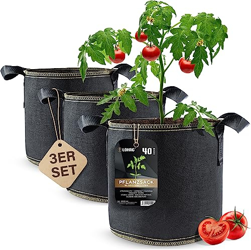 Sac de plantation non-tissé DIYer® - Sac de plantation de pommes de terre, tomates, herbes, fleurs, plantes - L'alternative saine pour balcon, jardin et terrasse 10 GallonenB 3er PackB
