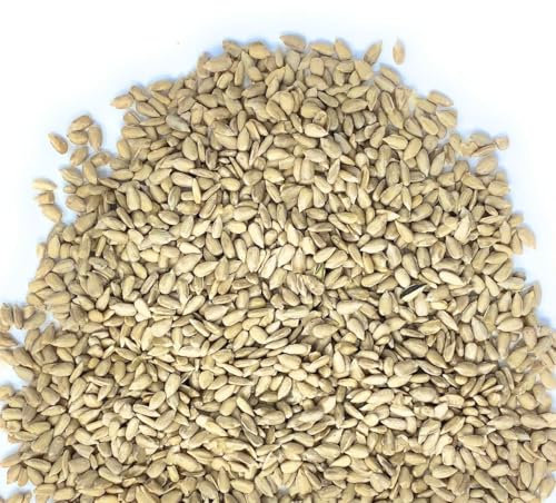 Il Contadino - Antichi Sapori | SEMI DI GIRASOLE DECORTICATI | Confezione Salva Freschezza, Frutta Secca di Qualità Premium, No Conservanti, Al Naturale (1 Kg)