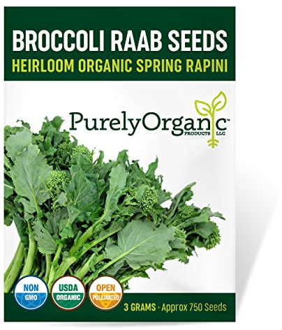 Organic Broccoli Raab Seeds (Spring Rapini) - Approx 750 Seeds - USDA Organic, Non-GMO, Open Pollinated, Heirloom, USA Origin