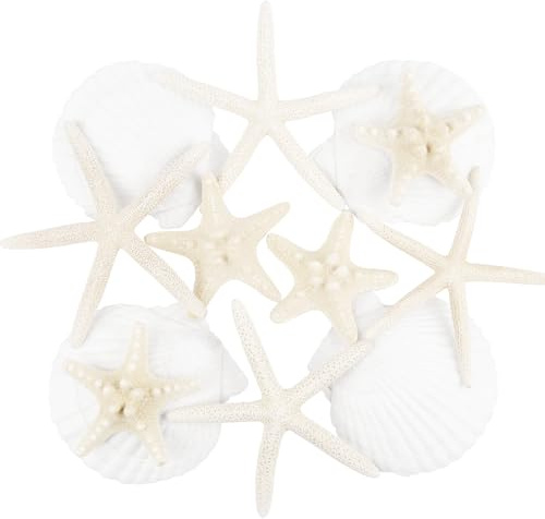 TaoQ C 12 Piezas Estrellas de mar Conchas Naturales, 5-9 cm Estrella de mar híbrida Blanco Conchas Marinas para Artesanías Bodas decoran Fiestas temáticas de Playa, peceras y Rellenos de jarrones