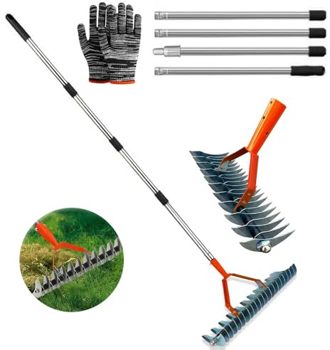 Escarificador Cesped con Mango 170 cm, Escarificador Manual Jardin, Escarificador Cesped Rastrillo, Rastrillo Aireador, Rastrillo Cortador para Eliminar el Musgo y los restos de césped,