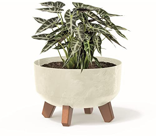 botle Vaso per bonsai, mini vaso da giardino sui piedi, diametro 23,5 cm, in plastica cremosa, con inserto effetto cemento, cactus
