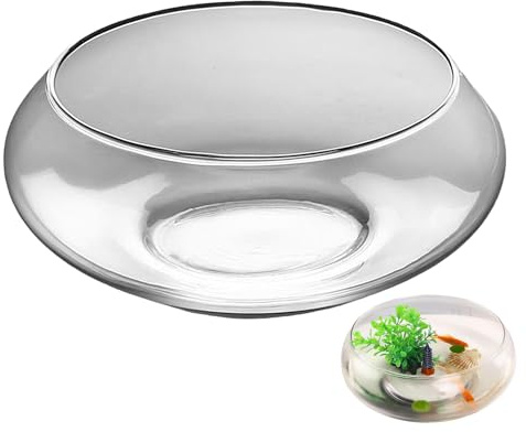 Generico Pot De Bol De Poisson Transparent - Bols À Bulles De 25x10 Cm | Pot De | Hydroponics Bonnsai Pots, Bol De Large en Largeur Peu Profonde pour Le Poisson