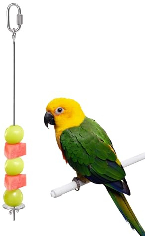 Fågel Fruktskewer Rostfritt Frukthållarspett | Matbehållare För Undulater Till Burar, Ara, Kakadua, Conure, Undulat, Älsklingsfåglar Och Finkar