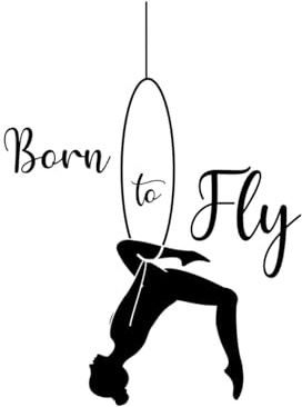 Born To Fly Aerial Hoop: Plain