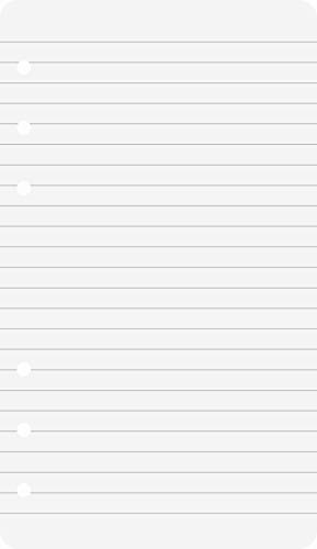 BRUNNEN Ringbucheinlage 8,8x15,2 lin 50Bl 106610101