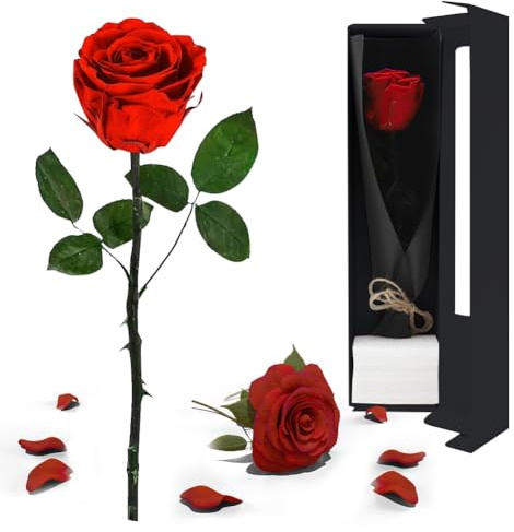 DASIAUTOEM - Regalo para mujer, diseño de rosa eterna con tallo, flor natural preservada con perfume rosa, flor eterna, regalo para mujer, mamá, abuelas, cumpleaños, boda, salón