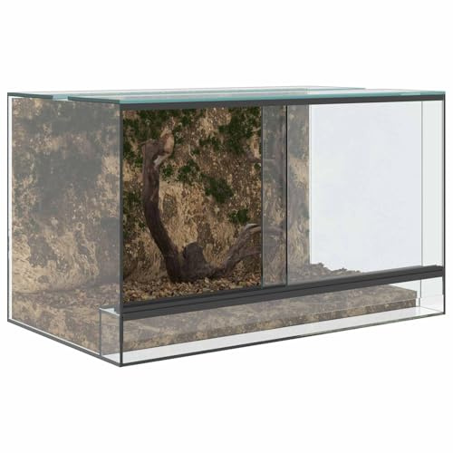 vidaXL Terrarium med lagring Transparent 50 x 30 x 30 cm Glas