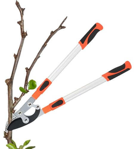 Godpqiui Coupe-Branches | Sécateur à Résistant et,Outils de Jardinage avec Manche Long Antidérapant pour Taille des Vignes, Haies, Fleurs et Bonsaïs -