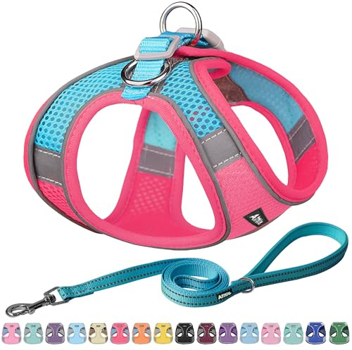 AIITLE Dog Harness and Leash Set, Step-in Puppy Pet Vest, Hot Pink XXXS