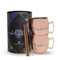 Whatakant - Moscow Mule Becher Set | 2er Großschot in Kupfer | 550 ml nachhaltige Kupferbecher und gerade Kupferstrohhalme in Geschenkverpackung | wiederverwendbares plastikfreies Bar Cocktail Set