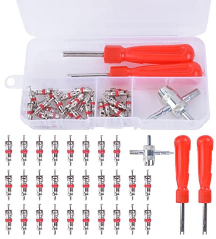 Vesaneae 33STK Reifenventil Kern Werkzeug Set mit Reifen Ventilkern, Einkopf Ventil Entferner, 4 in 1 Reifenreparatur Werkzeug, Reifenventilentferner, Reifen Ventileinsatz für Auto Motorrad Fahrrad