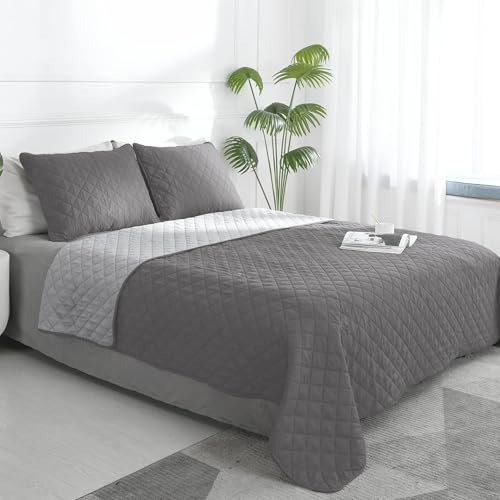 Easy-Going Full/Queen Size Reversible Quilt Set with 1 Quilt and 2 Pillow Shams, Soft Bed Quilt Cover, Lightweight Microfiber Bedspread, Water and Stain Resistant, Gray/Light Gray