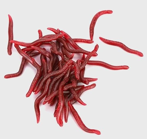 EVERBAY Worms for Fishing Soft Lures - Fake Worms Lures – Carp Fishing Bait – Brown Trout Barbel Silicone Soft Maggot Artificial Bait Lifelike Swimbait - 50pcs 3.5cm/0.25g