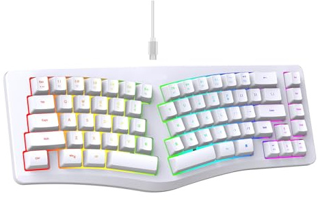 Lazmin112 Ergonomiskt Tangentbord med 69 Tangenter, Kabelanslutet Delat USB-datortangentbord med 18 RGB-bakgrundsbelysta Lägen och Handledsstöd, för Mac PC Laptop Office Hem (WHITE)