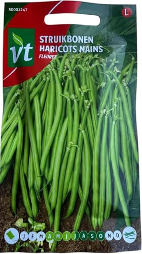 Haricots Fleuret Graines - Gousses savoureuses extra fin
