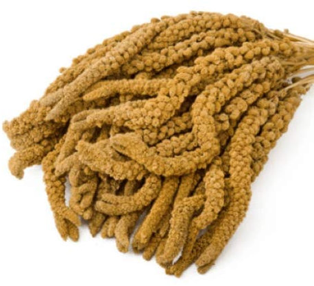 Eurital französische Kolbenhirse 500 g gelb - handverlesen - für Kanarien, Wellensittiche, Vögel