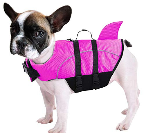 Chaleco Salvavidas Queenmore Ripstop para Perros, diseño de tiburón, con Gran flotabilidad y asa de Agarre, Ideal para Razas pequeñas y Medianas (Fucsia L)