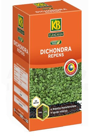 BERARDI | Dichondra repens 250 gr | Formula sementi speciale per prati da vivere
