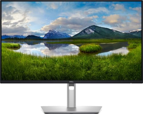 DELL Pro 24 Plus QHD USB-C Hub Monitor P2425DE - LED-Monitor - 61 cm (24)