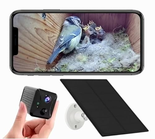 Solar Bird Box Camera with WiFi – Wireless HD Nest Box Camera with Night Vision | Live Stream Garden Birds to Your Phone | Solar Powered Wildlife Camera