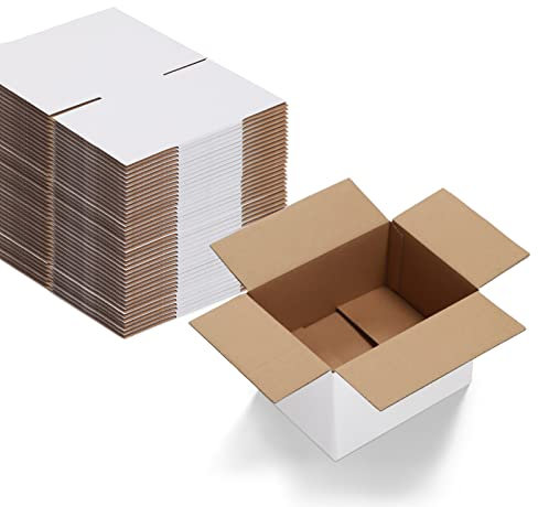 EYMPEU 40 Stück 20,3x15,3x10,2cm Weiße Versandkarton, Kartons für Gegenstände, Spielzeug, Schreibwaren und Weihnachtspäckchen