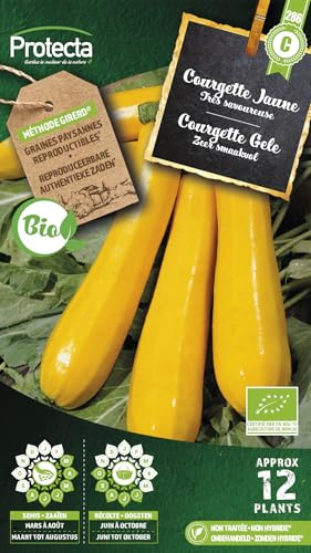 PROTECTA Semence Courgette jaune BIO