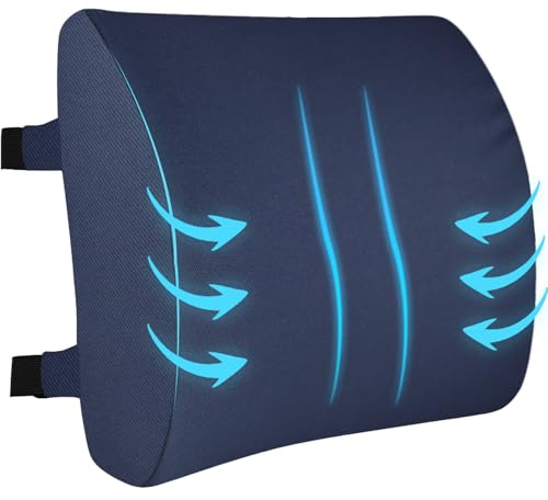 HomDSim Memory Foam Lumbar Cushion Lower Back Support Pillow Posture Correcting Car Seat Home Office Chair