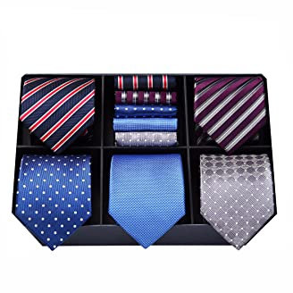 HISDERN Herren Krawatte mit Einstecktuch Lot 5 Stück Elegante Krawatten für Herren Klassische Hochzeit Seidenkrawatte Set Taschentuch Geschenkbox