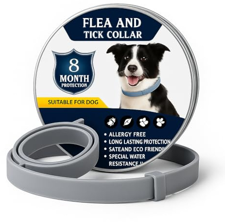 Collar Antiparasitario Perros – 8 Meses de Protección Efectiva contra Pulgas y Garrapatas, Seguro, Impermeable y Ajustable para Todas Las Razas