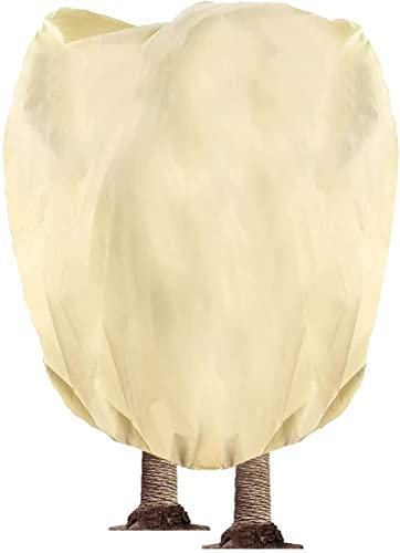 Hydrogarden Housse hivernage pour Plantes, Housse hivernage pour Plantes, Housse d'hivernage Non tissée 80 g/m² Protection Contre Le Gel des Plantes en Palmier et Olivier (250x360cm)