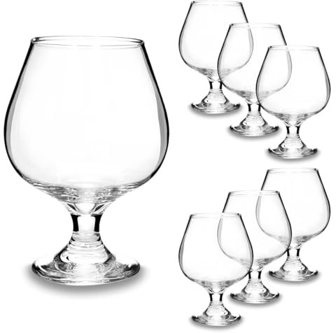 ARCA, Set di 6 Bicchieri da Cognac in Cristallo Brillante, per 6 Persone, Adatti Anche per Whisky, Bourbon o Altri Distillati, Lavabili in Lavastoviglie, 480 ml