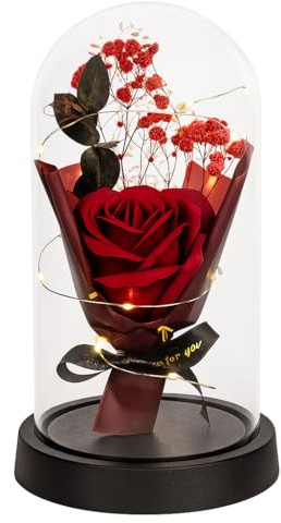ENERGY GROUP ONLINE Rosa Eterna con Luci LED sotto Cupola – Idea Regalo Romantica per San Valentino, Anniversario, Festa della Mamma – Decorazione Elegante per Casa (ROSA ROSSA 1)