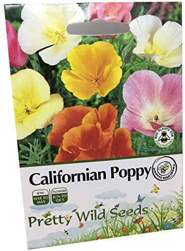 2g California Californian Poppy Mix - 2000 Escholtzia californica Fresh Seeds Annual Flower by Pretty Wild Seeds,