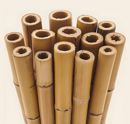 Gardens 2Ft,3Ft,4Ft,5Ft,6Ft,7Ft,8FT,10Ft Strong Heavy Duty Professional Bamboo Plant Support Garden Canes (50, 3ft, 12-14 mm)