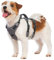 Huntboo Sicherheitsgeschirr Hund Ausbruchsicher, Panikgeschirr für Hunde, Reflektierendes Geschirr Hund mit Griff, Verstellbare Hundegeschirr für kleine, mittelgroße und große Hunde (Schwarz,XS)