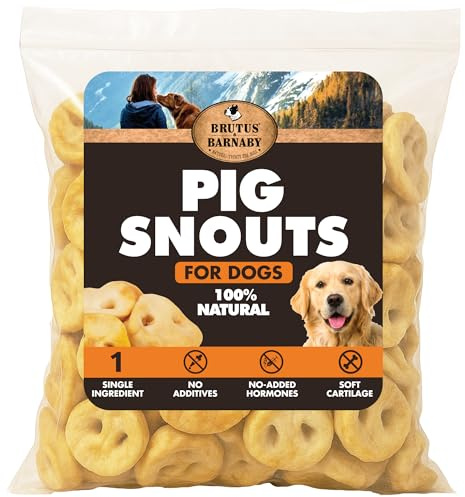BRUTUS & BARNABY Pig Snout Dog Treat - 100% Natural - Our Healthy Pig Snouts for Dogs are Easy to Digest, Chemical & Hormone Free, Thick & Hearty Chew, Great for Small Or Large Dogs