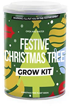 Christmas Tree Grow Tin,Multi Colored