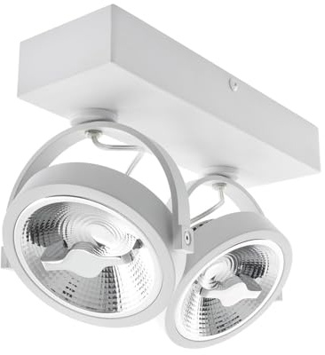 LEDKIA LIGHTING Foco LED 30W CREE de Superficie Direccionable AR111 Regulable Blanco 4000K Blanco Neutro