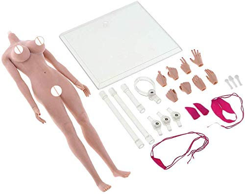ZSMD 1/6 Weibliche Flexible Nahtlose Körperbeschläge Für 12-Zoll-Aktion (A)